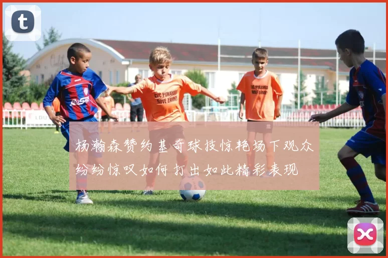 杨瀚森赞约基奇球技惊艳场下观众纷纷惊叹如何打出如此精彩表现