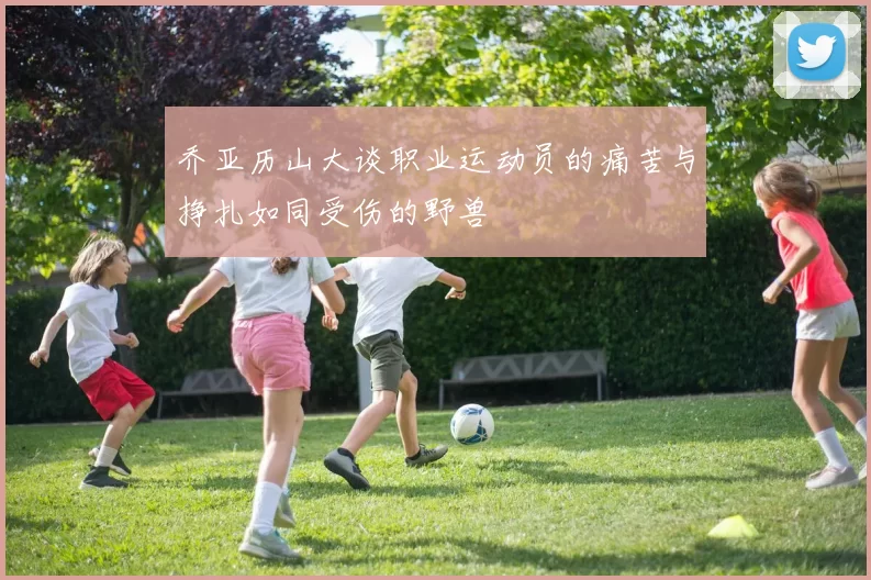 乔亚历山大谈职业运动员的痛苦与挣扎如同受伤的野兽