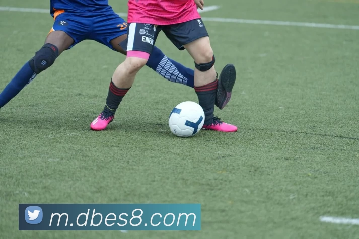 App Interface Preview