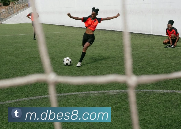 DB电竞官网APP 封面图